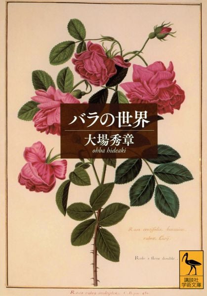 バラの世界 (講談社学術文庫)