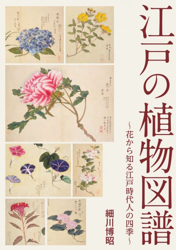江戸の植物図譜 ~花から知る江戸時代人の四季~