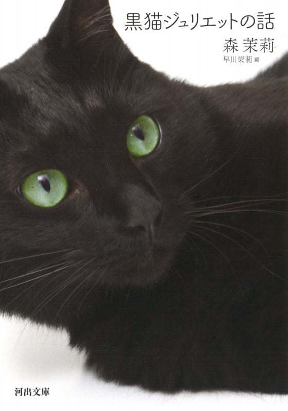 黒猫ジュリエットの話 (河出文庫)