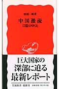 中国激流 13億のゆくえ (岩波新書 新赤版959)