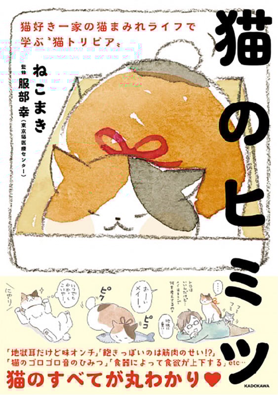 猫のヒミツ 猫好き一家の猫まみれライフで学ぶ“猫トリビア”