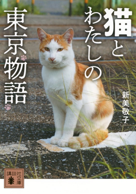 猫とわたしの東京物語 (講談社文庫)