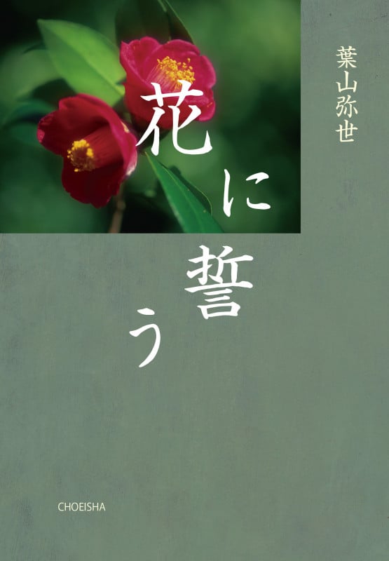 葉山弥世 おすすめランキング (20作品) - ブクログ