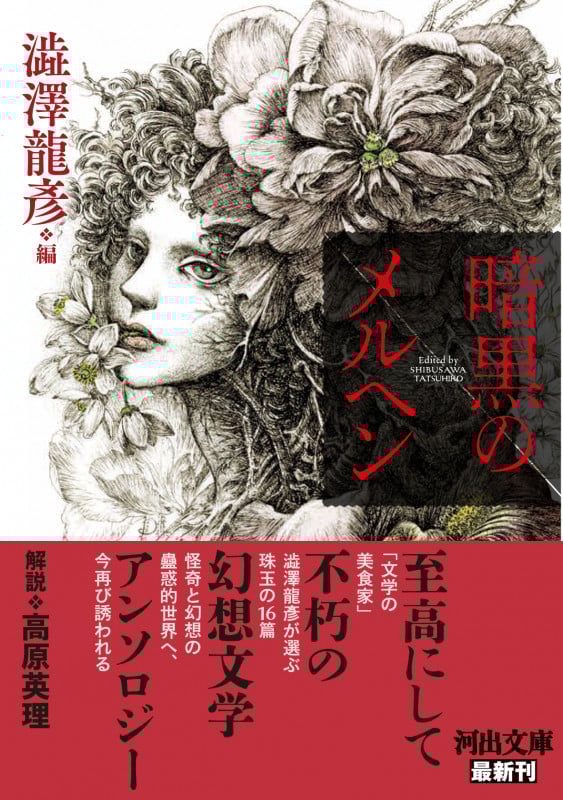 暗黒のメルヘン (河出文庫)