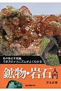 鉱物・岩石入門 色や形の不思議、でき方のメカニズムがよくわかる
