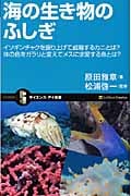海の生き物のふしぎ イソギンチャクを振り上げて威嚇するカニとは?体の色をガラリと変えてメスに求愛する魚とは? (サイエンス・アイ新書)