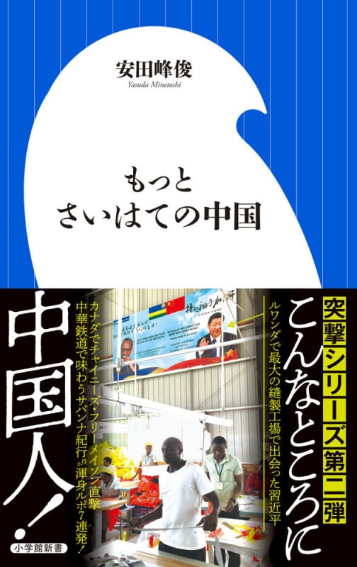 もっとさいはての中国 (小学館新書)