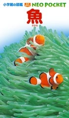魚 (小学館の図鑑NEO POCKET 3)