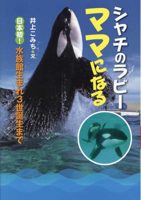 シャチのラビー ママになる 日本初!水族館生まれ3世誕生まで