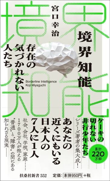 境界知能 存在の気づかれない人たち (新書)