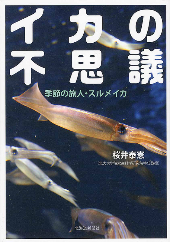 イカの不思議 季節の旅人・スルメイカ