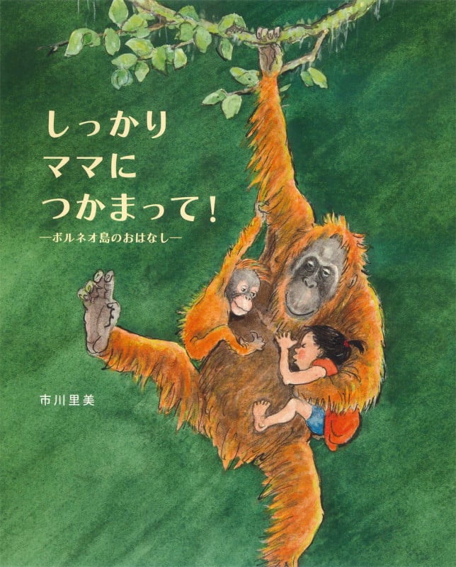 しっかりママにつかまって! ボルネオ島のおはなし