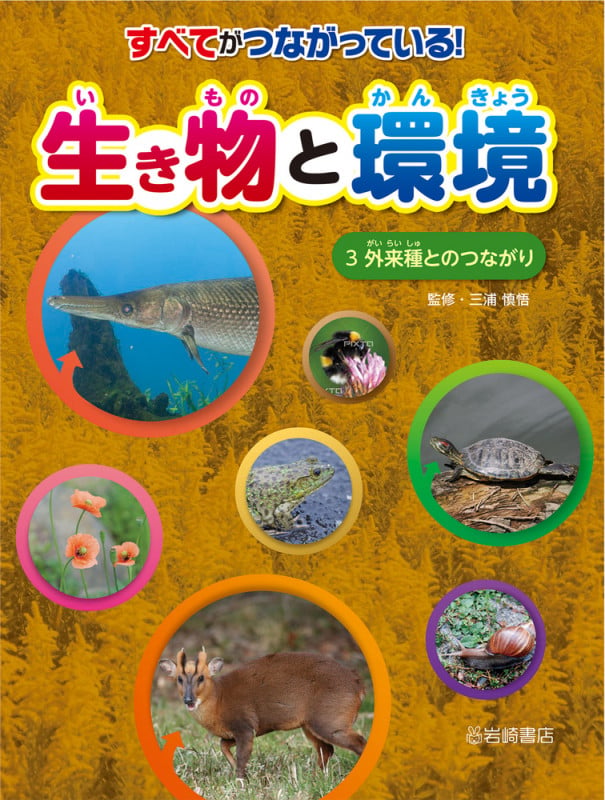 外来種とのつながり (すべてがつながっている! 生き物と環境)