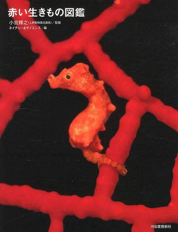 赤い生きもの図鑑