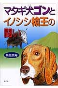 マタギ犬ゴンとイノシシ槍王の闘い