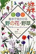 散歩で見かける野の花・野草
