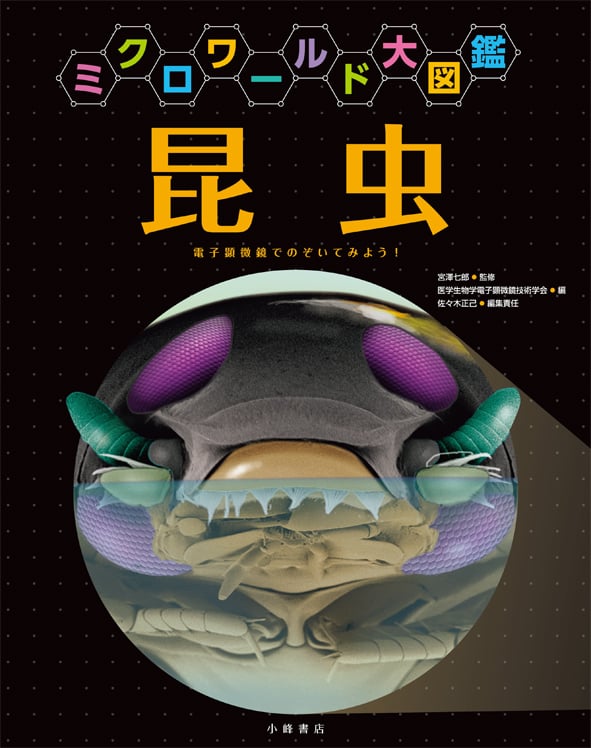 ミクロワールド大図鑑 昆虫 電子顕微鏡でのぞいてみよう