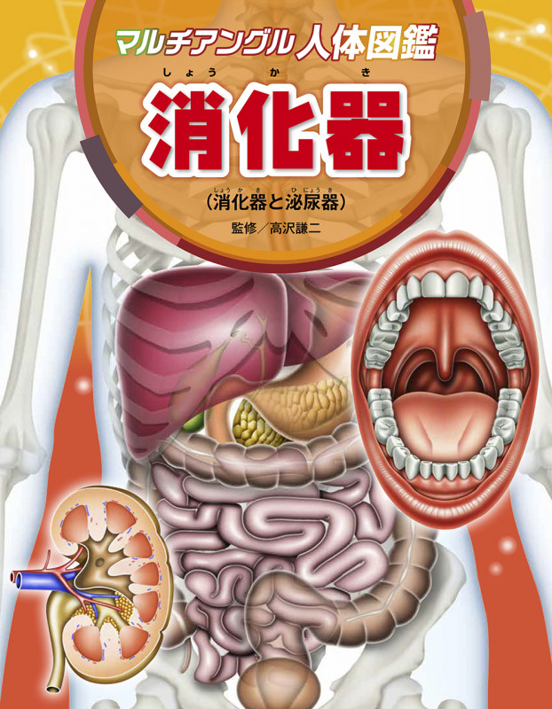 消化器 消化器と泌尿器 (マルチアングル人体図鑑)