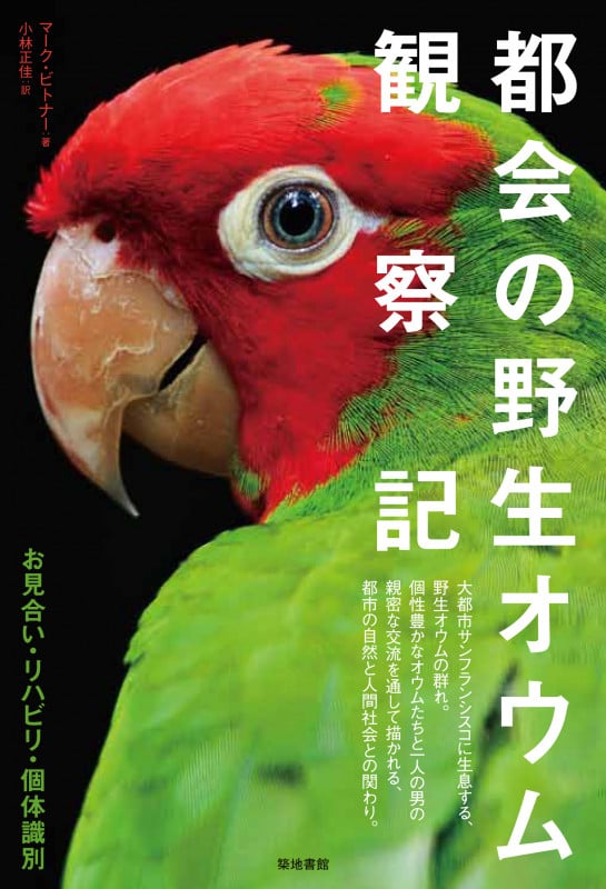 都会の野生オウム観察記