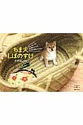 ちま犬しばのすけ 世界一ちいさな犬が教えてくれる、ちいさな勇気のおはなし (コンペイトウ書房)