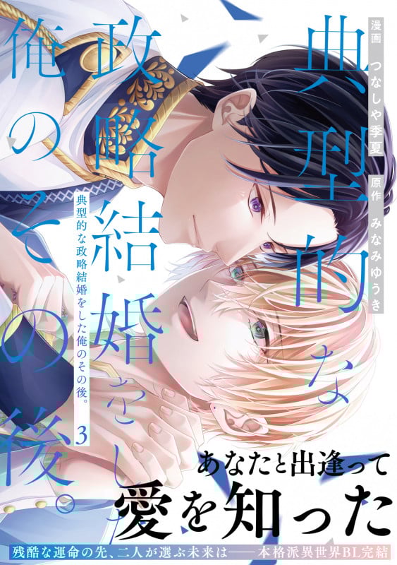 典型的な政略結婚をした俺のその後。 (3) (アンダルシュCOMICS)