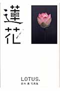 蓮花 鈴木薫写真集