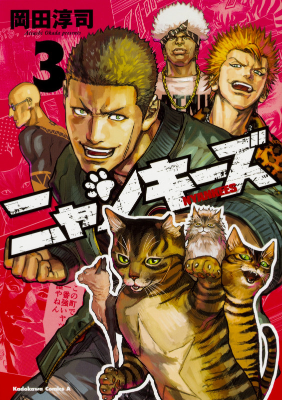 NYANKEES (3) (角川Cエース)
