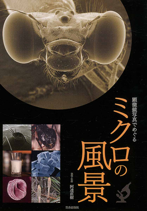 顕微鏡写真でめぐる ミクロの風景