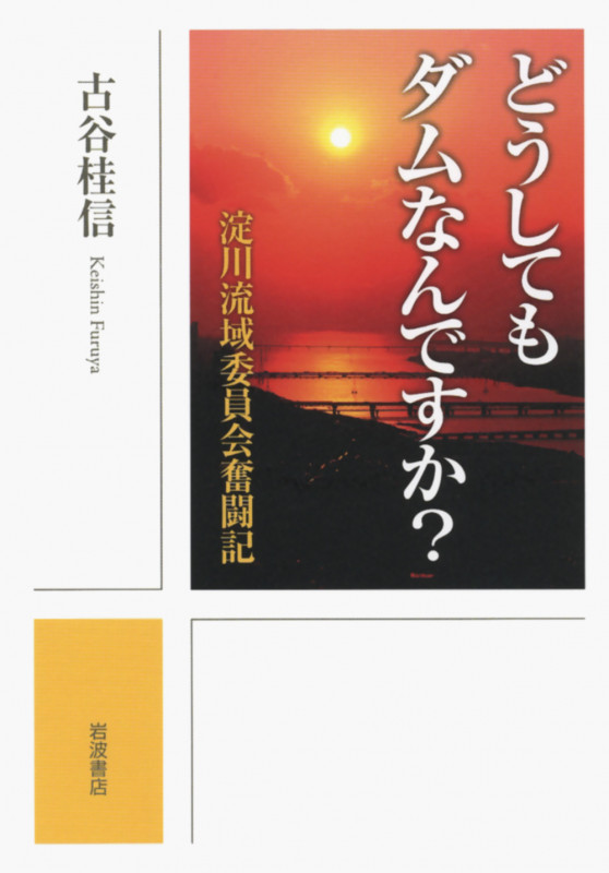 どうしてもダムなんですか? 淀川流域委員会奮闘記の詳細を見る