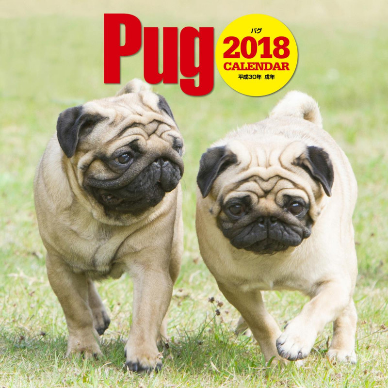 2018年大判カレンダー パグ