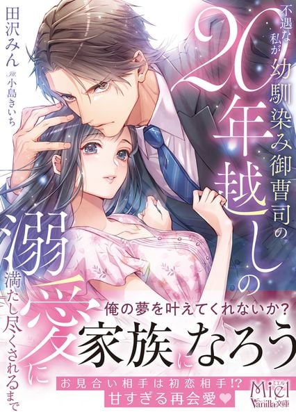 不遇な私が幼馴染み御曹司の20年越しの溺愛に満たし尽くされるまで (ヴァニラ文庫 VBL448)