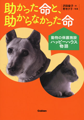 助かった命と、助からなかった命 動物保護施設ハッピーハウス物語 (動物感動ノンフィクション)