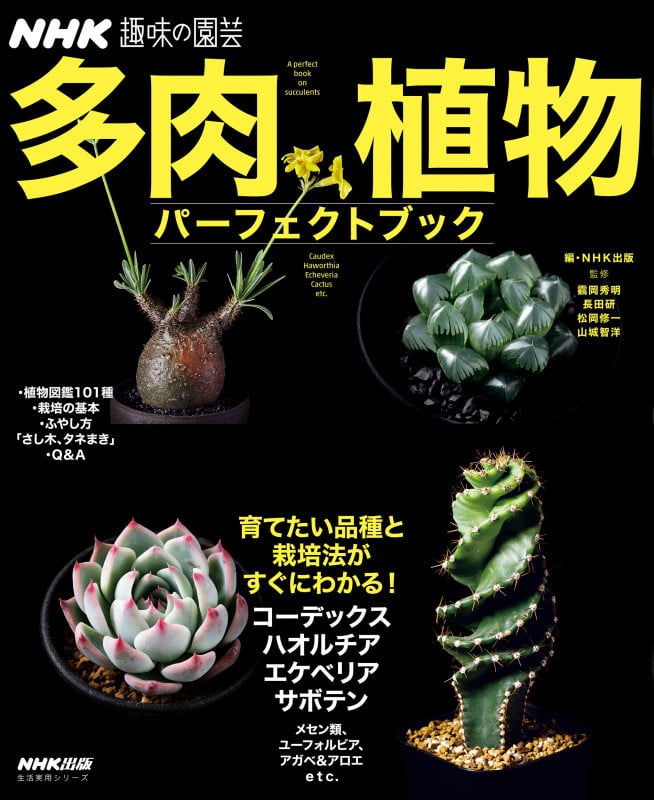 NHK趣味の園芸 多肉植物 パーフェクトブック (生活実用シリーズ)