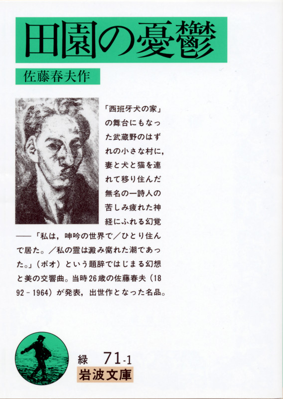田園の憂鬱 (岩波文庫)の詳細を見る