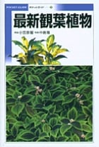 最新観葉植物