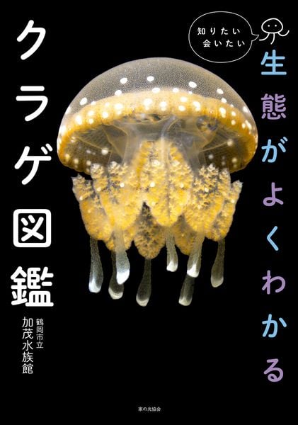 生態がよくわかるクラゲ図鑑 知りたい会いたい