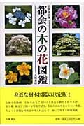 都会の木の花図鑑