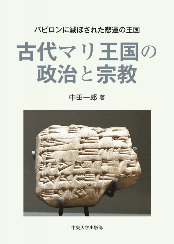 メソポタミア文明入門 中田一郎著 メソポタミア文明入門 ＜岩波ジュニア新書 558＞(中田一郎