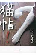猫帖!