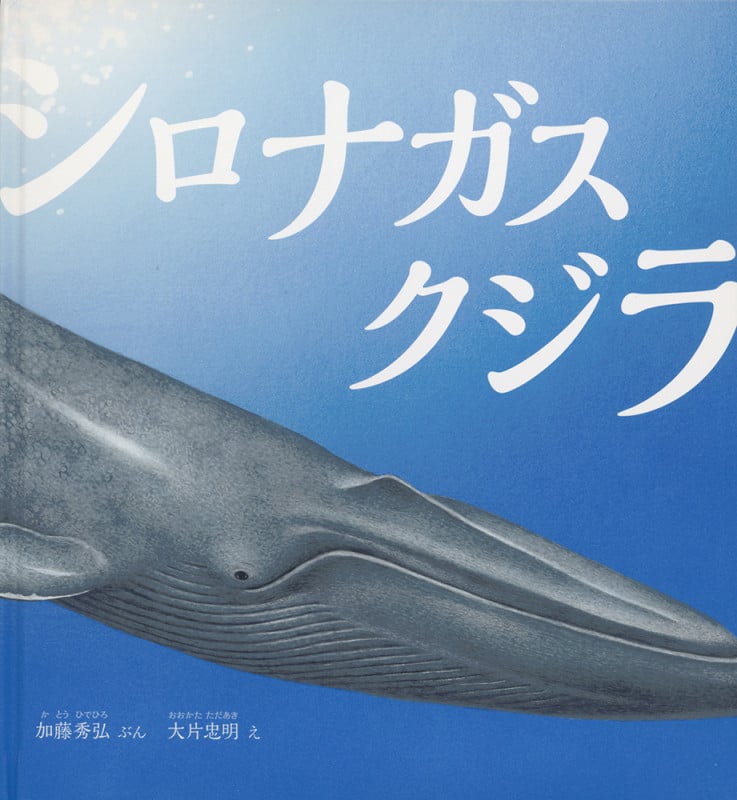 シロナガスクジラ (かがくのとも絵本)