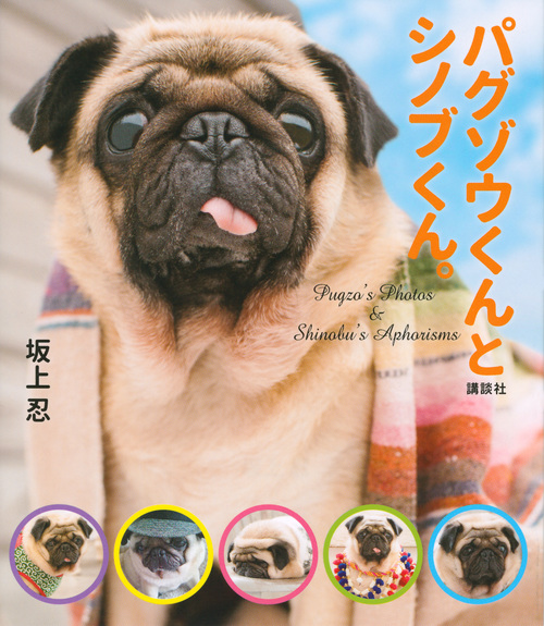 パグゾウくんとシノブくん。