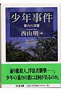 少年事件