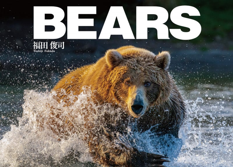 BEARS 福田俊司写真集