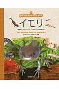 イモリ 有尾類/アカハライモリ・アホロートルの仲間たち (爬虫・両生類ビギナーズガイド)
