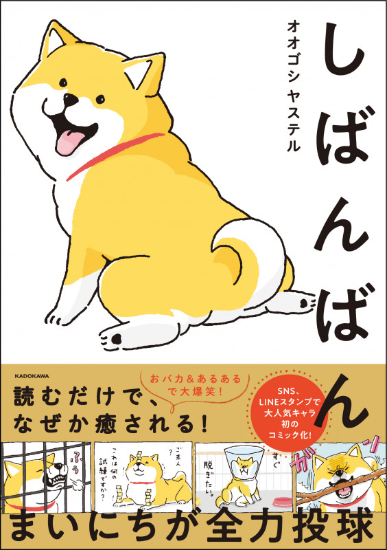 しばんばんの詳細を見る