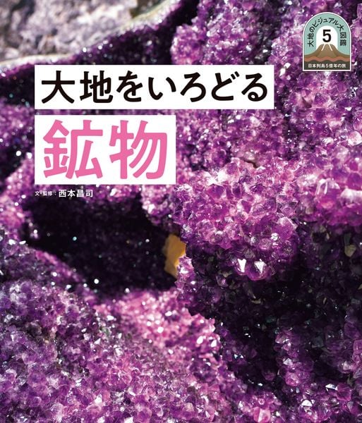 大地をいろどる鉱物 (日本列島5億年の旅 大地のビジュアル大図鑑 5)