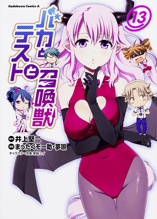 バカとテストと召喚獣 (13) (角川Cエース)