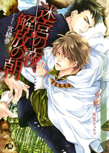 迷宮の夜、解放の朝 (花丸文庫BLACK)