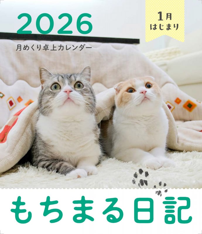 もちまる日記 2026 1月はじまり月めくり卓上カレンダー