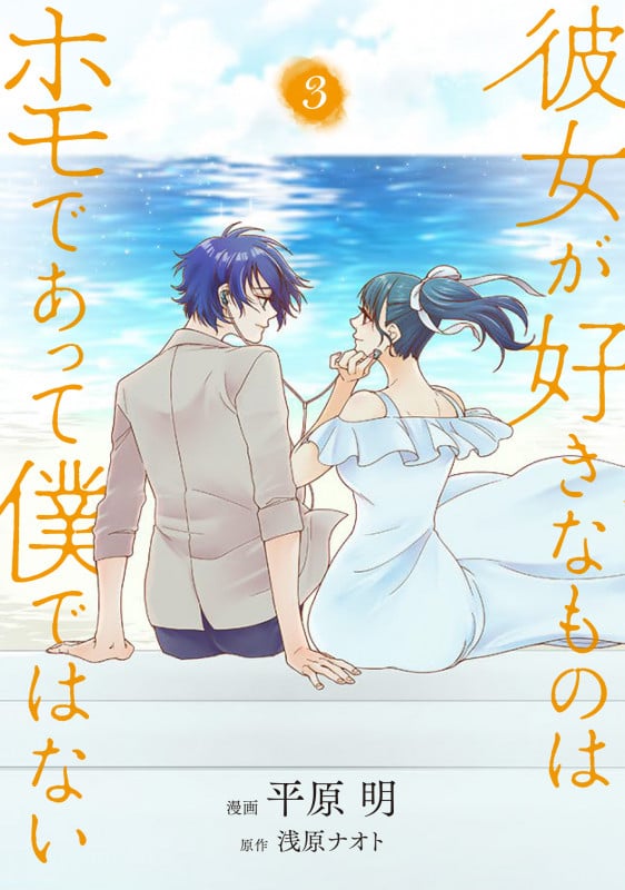 彼女が好きなものはホモであって僕ではない (3) (ブリッジC)